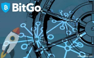 BitGo Executes Strategic Pivot: Custody Giant Trims Workforce by 15% to Prioritize Institutional Infrastructure