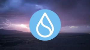Sui Network’s Gasless Strategy: A New Benchmark for Stablecoin Utility and Layer-1 Scalability