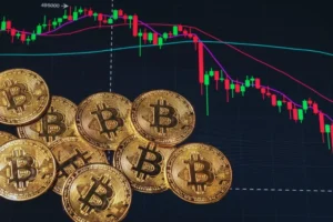 The Crypto Paradox: Why Recent Price Surges Are Colliding with Harsh Market Realities